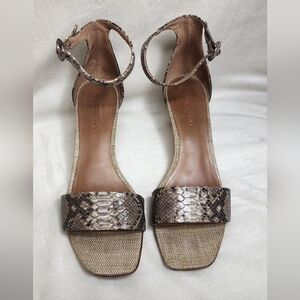 Bernardo Snake Skin Shoes Size 9.5